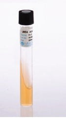 Prepared Media Urea Agar Slant Tube Format BOX OF 20 MK-914201
