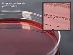 Prepared Media Levine Eosin Methylene Blue (EMB) Agar Plate Format BOX OF 10 MK-914269