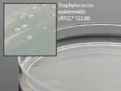 Prepared Media Nutrient Agar Plate Deep Fill Plate Format PLATES AGAR NUTRIENT 15X100MM Box of 10 MK-914274