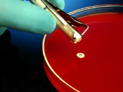 Antimicrobial Susceptibility Testing Disc HardyDisks™ Novobiocin 30 µg EACH MK-914346