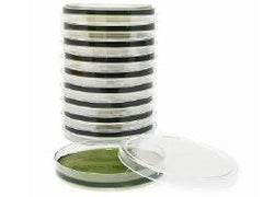 Prepared Media Hektoen Enteric Agar Petri Plate Format BOX OF 10 MK-914400