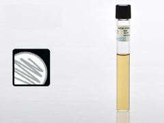 Prepared Media Thioglycollate Medium Beige Tube Format THIOGLYCOLLATE, W/O INDICATOR 16X125MM W/O INDICATOR BOX OF 20 MK-914513
