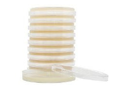 Chromogenic Medium HardyCHROM™ Candida Mono-Plate Format PLATES CHROMOGENIC CANDIDA BOX OF 10 MK-914563