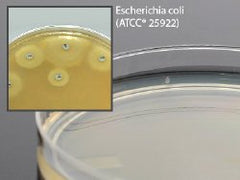 Prepared Media Mueller Hinton Agar Petri Plate Format PLATES, MUELLER HINTON AGAR 15X100MM BOX OF 10 MK-914950
