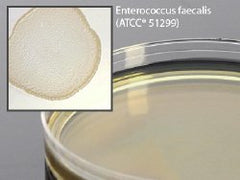 Prepared Media Brain Heart Infusion (BHI) Agar with Vancomycin Mono-Plate Format PACK OF 10 MK-919179