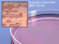 Prepared Media MacConkey Agar with Sorbital Petri Plate Format PACK OF 10 MK-919181