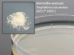 Prepared Media Mueller Hinton Agar MEDIA, MRSA MUELLER HINTON AGAR 15X100MM PACK OF 10 MK-919182