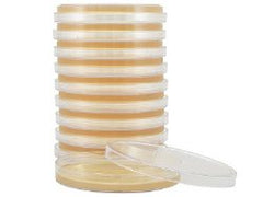 Prepared Media Tryptic Soy Agar (TSA) Petri Plate Format MEDIA, TRYPTIC SOY AGAR 15X100MM PACK OF 10 MK-919183