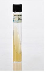 Prepared Media Brain Heart Infusion (BHI) Agar Slant Tube Format MEDIA, BRAIN HEART INFUSION AGAR SLANT 20X125MM PACK OF 20 MK-919196