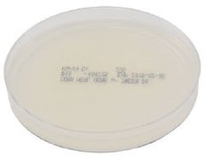Prepared Media Corn Meal Agar with Tween® 80 Deep Fill Plate Format MEDIA, CORN MEAL AGAR W/TWEEN 80 F/CHLAMYDOSPORES D/S  PACK OF 10 MK-919217