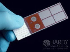 Prepared Microscope Slide Q-Slide™ AFB Clear BOX OF 5 MK-958650