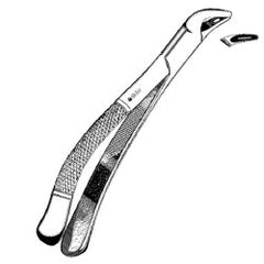 Extracting Forceps Sklar® No. 151 OR / Surgical Grade German Stainless Steel NonSterile NonLocking Plier Handle Curved Serrated Beak Tips EACH MK-959470