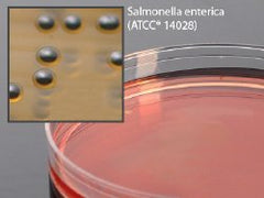 Prepared Media Salmonella Shigella Agar Petri Plate Format PACK OF 10 MK-987121