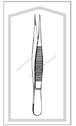 Splinter Forceps Econo Sterile™ 3-1/2 Inch Length Floor / Office Grade Pakistani Stainless Steel Sterile NonLocking Thumb Handle Straight Fine, Pointed Serrated Tips EA/CS MK-989274