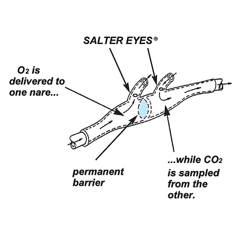 marketlab Divided Sampling EtCO2 Nasal Cannula, Adult, Male Luer 25 / pk