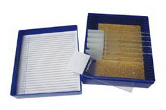 Fisher Anatomical Control Slide Alcian Blue Tissue