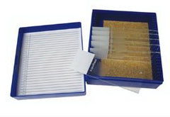 Fisher Anatomical Control Slide Elastic Tissue