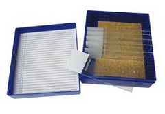 Fisher Anatomical Periodic Acid Schiff (PAS) Control Slide Fungi
