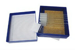 Fisher Anatomical Control Slide Glycogen Tissue