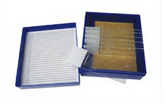 Fisher Anatomical Control Slide Gram Organism Tissue