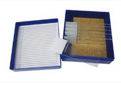 Fisher Anatomical Control Slide Massons Tissue