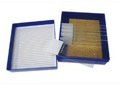 Fisher Anatomical Control Slide Reticulum Tissue