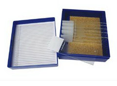 Fisher Anatomical Control Slide Trichrome Tissue