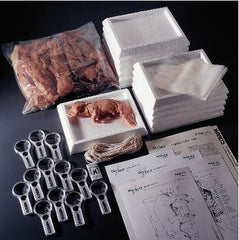 Ward's Science Fetal Pig Dissection Lab Set Preserved, 12 Students