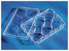 Fisher Scientific Multiwell Cell Culture Dish CellBind™ Polystyrene