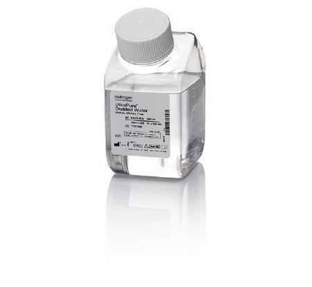 Fisher Scientific Distilled Water Invitrogen™ UltraPure™ 500 mL Plastic Container