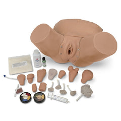 Nasco Advanced Pelvic and Gyn Simulator Life/Form®