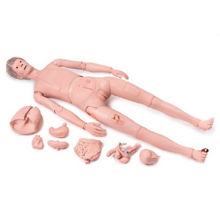 Nasco Patient Care Pro Training Manikin American 3B Scientific® Male / Female Interchangeable 52 lbs. Plastic