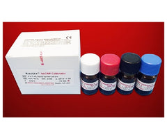 Kamiya Biomedical Company Calibrator hsCRP 4 X 1 mL