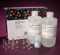 Fisher Scientific Reagent Kit Pierce™ BCA General Chemistry Total Protein For Microplate Reader and Spectrophotometer 500 Tests (Tube) / 5,000 Tests (Microplate) R1: 1 Liter / R2: 25 mL