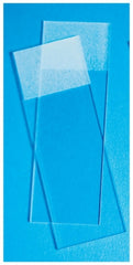 Fisher Scientific Microscope Slide Fisherbrand™ Superfrost™ White Frosted End