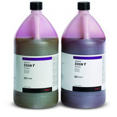 Fisher Scientific Eosin Y Stain, 1% Alcoholic 4 Liter