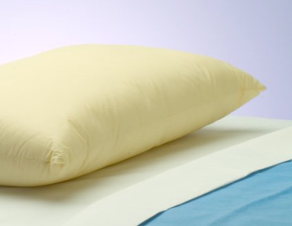 The Pillow Factory Division Bed Pillow Soft 19 X 25 Inch Beige Reusable
