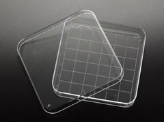 Simport Scientific Petri Dish Polystyrene
