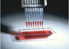 VWR International Solution Basin Labcor™ 55 mL Angled Side and V Shaped Bottom NonSterile