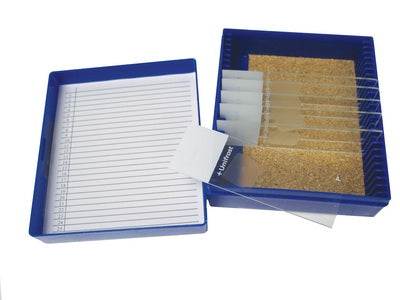 Azer Scientific Histology Control Slide Trichrome Tissue 11 Slides