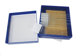 Azer Scientific Histology Control Slide Trichrome Tissue 11 Slides