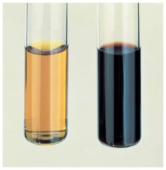 Fisher Scientific Media Additive BD Difco™ Novobiocin Antimicrobic Supplement