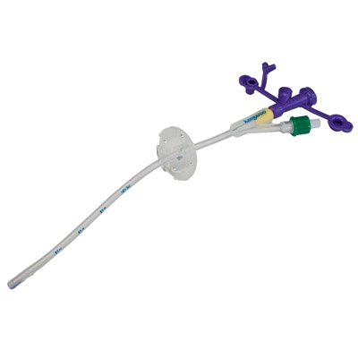 Cardinal Gastrostomy Tube with Y Ports Kangaroo™ 22 Fr. Silicone