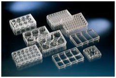 Fisher Scientific Multiwell Cell Culture Dish Thermo Scientific™ Nunc™