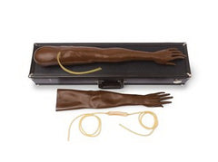 Laerdal Medical Multi-Venous IV Training Arm Kit Female Adult