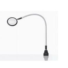 Waldmann Lighting Magnifying Lamp Fluorescent, LED Surface/Table/Wall Mount 6 W