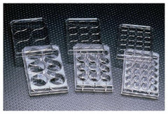 Fisher Scientific Multiwell Cell Culture Dish Thermo Scientific™ Nunc™