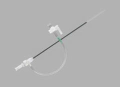 Cook Medical Introducer Flexor® 8 Fr. X 45 cm Length X 2.9 mm ID For up to .038 Inch Diameter Guidewire - M-1052679-3019 - Each