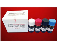 Kamiya Biomedical Company Calibrator Hemoglobin A1c (HbA1c) 4 X 0.5 mL