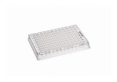Fisher Scientific 96-Well Microplate Eppendorf™ twin.tec™